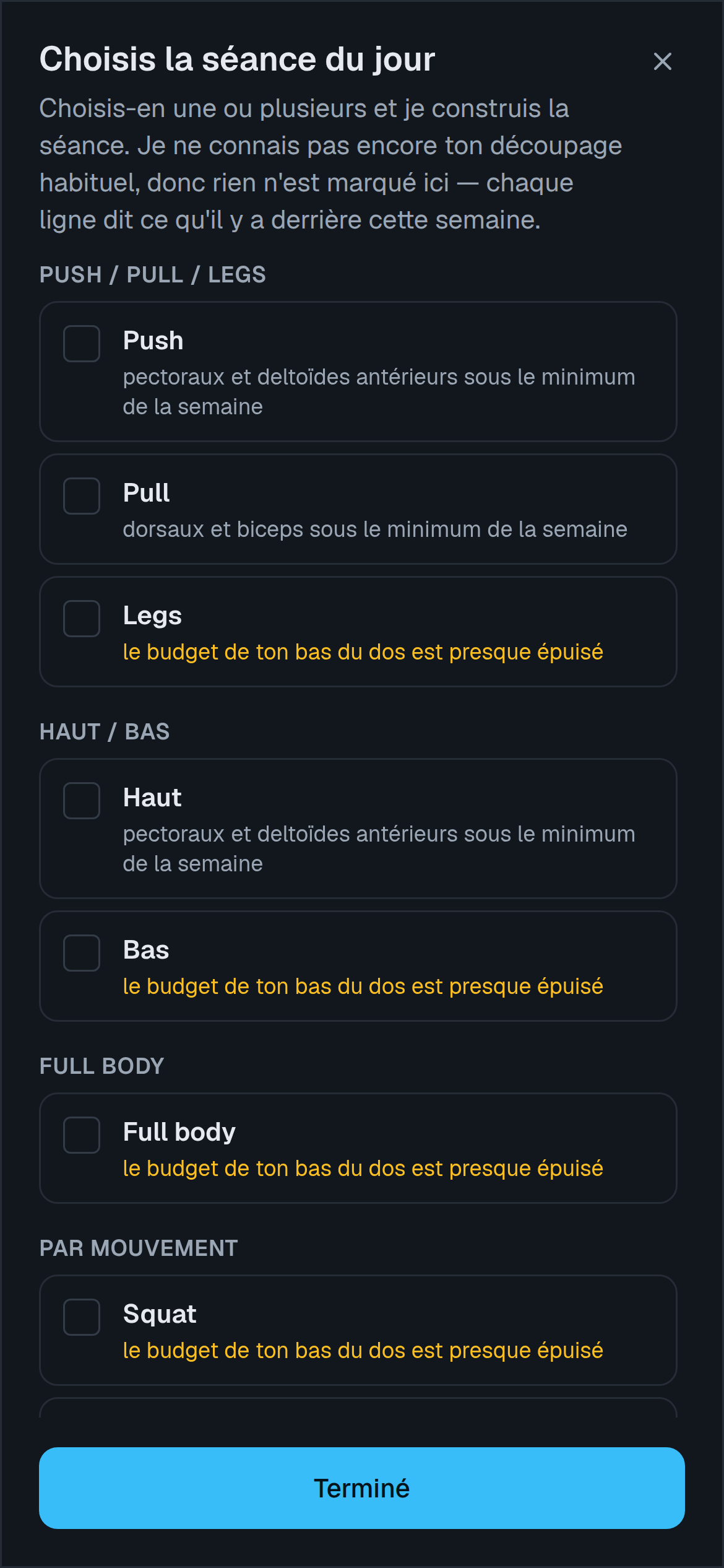 Le sélecteur de thème pour un entraînement hors d'un programme : tous les types de journée que le coach connaît, regroupés par push/pull/legs, upper/lower, full body, par mouvement et par groupe musculaire, avec l'avis du coach.